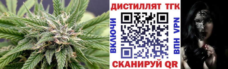 Купить закладки  Егорьевск  Дистиллят ТГК гашишное масло 