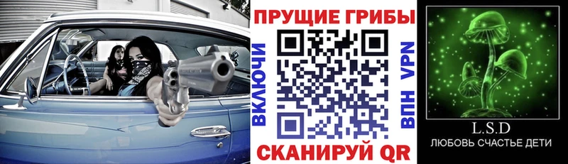 Купить закладки  Егорьевск  Псилоцибиновые грибы прущие грибы 